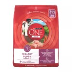 Purina ONE? +Plus Puppy Dog Dry Food - Chicken, Natural, High-Protein
