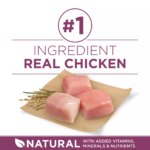 Purina ONE? +Plus Puppy Dog Dry Food - Chicken, Natural, High-Protein - Image 4