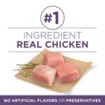 Purina ONE? +Plus Senior Dog Dry Food - Chicken, Low Ash, With Vitamins - Image 4