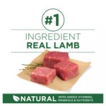 Purina ONE? +Plus Small Breed Adult Dog Dry Food - Lamb, No Artificial Colors, No Artificial Flavors - Image 4