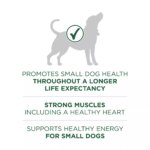 Purina ONE? +Plus Small Breed Adult Dog Dry Food - Lamb, No Artificial Colors, No Artificial Flavors - Image 5