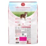 Purina ONE? +Plus SmartBlend Adult Dog Dry Food - Salmon, No Artificial Preservatives, With Vitamins - Image 2