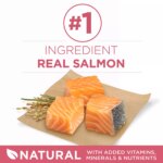 Purina ONE? +Plus SmartBlend Adult Dog Dry Food - Salmon, No Artificial Preservatives, With Vitamins - Image 4