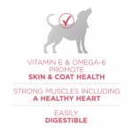 Purina ONE? +Plus SmartBlend Adult Dog Dry Food - Salmon, No Artificial Preservatives, With Vitamins - Image 5