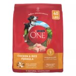 Purina ONE? SmartBlend Everyday Nutrition Adult Dog Dry Food - Chicken, High-Protein
