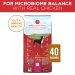 Purina ONE? SmartBlend Everyday Nutrition Adult Dog Dry Food - Chicken, High-Protein - Image 2