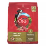 Purina ONE? SmartBlend Everyday Nutrition Adult Dog Dry Food - Lamb, High-Protein