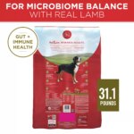 Purina ONE? SmartBlend Everyday Nutrition Adult Dog Dry Food - Lamb, High-Protein - Image 2