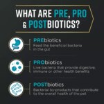 Purina Pro Plan AdvantEDGE Digestive Support Large Breed Adult Dry Dog Food - Salmon & Oatmeal - Image 3