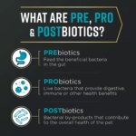 Purina Pro Plan AdvantEDGE Digestive Support Small Breed Adult Dry Dog Food - Salmon & Oatmeal - Image 3