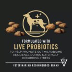 Purina Pro Plan Complete Essentials Shredded Blend Adult Dry Dog Food - Salmon & Rice - Image 3