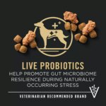 Purina Pro Plan Complete Essentials Shredded Blend Senior 7+ Dry Dog Food - Beef & Rice - Image 3