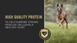Purina Pro Plan Complete Essentials Shredded Blend Senior 7+ Dry Dog Food - Chicken & Rice - Image 8