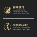 Purina Pro Plan Development Large Breed Puppy Dry Dog Food - Chicken & Rice - Image 4