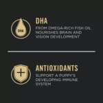 Purina Pro Plan Development Puppy Dry Dog Food - Chicken & Rice - Image 4