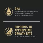 Purina Pro Plan Development Sensitive Skin & Stomach Large Breed Puppy Dry Dog Food - Salmon & Rice - Image 5