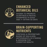 Purina Pro Plan Senior Dry Dog Food, Bright Mind - Chicken & Rice - Image 4