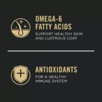 Purina Pro Plan Sensitive Skin & Stomach Adult Dry Dog Food - Turkey & Oat Meal - Image 5