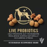 Purina Pro Plan Specialized Shredded Blend Large Breed Senior 7+ Dry Dog Food - Chicken & Rice - Image 3