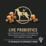 Purina Pro Plan Specialized Shredded Blend Small Breed Senior 7+ Dry Dog Food - Chicken & Rice - Image 3