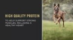 Purina Pro Plan Specialized Shredded Blend Small Breed Senior 7+ Dry Dog Food - Chicken & Rice - Image 8