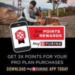 Purina Pro Plan Weight Management Shredded Blend Adult Dry Dog Food - Chicken & Rice - Image 4