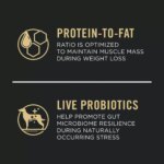 Purina Pro Plan Weight Management Shredded Blend Small Breed Adult Dry Dog Food - Chicken & Rice - Image 4