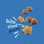 Purina Puppy Chow Complete Puppy Dog Dry Food - Chicken, High-Protein, Real Meat - Image 5