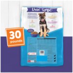 Purina Puppy Chow Large Breed Formula Dog Dry Food - Chicken - Image 2