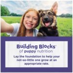 Purina Puppy Chow Large Breed Formula Dog Dry Food - Chicken - Image 5