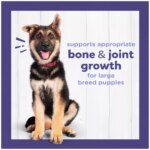 Purina Puppy Chow Large Breed Formula Dog Dry Food - Chicken - Image 6