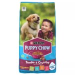Purina Puppy Chow Tender & Crunchy Puppy Dry Dog Food - Beef