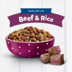 Purina Puppy Chow Tender & Crunchy Puppy Dry Dog Food - Beef - Image 3