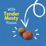 Purina Puppy Chow Tender & Crunchy Puppy Dry Dog Food - Beef - Image 5