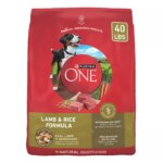 Purina? ONE? Adult Dog Dry Food - Lamb & Rice, High-Protein