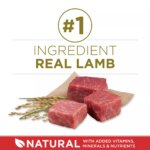 Purina? ONE? Adult Dog Dry Food - Lamb & Rice, High-Protein - Image 4