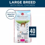Purina? ONE? +Plus Large Breed Adult Dog Dry Food - Chicken, Natural - Image 2