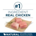 Purina? ONE? +Plus Large Breed Adult Dog Dry Food - Chicken, Natural - Image 4