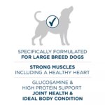 Purina? ONE? +Plus Large Breed Adult Dog Dry Food - Chicken, Natural - Image 5