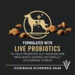 Purina? Pro Plan Complete Essentials Shredded Blend Adult Dry Dog Food - Beef & Rice - Image 3