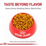 Royal Canin Adult Dry Dog Food Canine Care Nutrition, Small Weight Care - Image 2