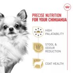Royal Canin Adult Dry Dog Food - Chihuahua Breed Health Nutrition - Image 3