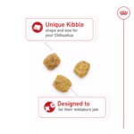 Royal Canin Adult Dry Dog Food - Chihuahua Breed Health Nutrition - Image 5