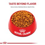 Royal Canin Adult Dry Dog Food - Poodle Breed Health Nutrition - Image 2
