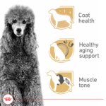 Royal Canin Adult Dry Dog Food - Poodle Breed Health Nutrition - Image 3