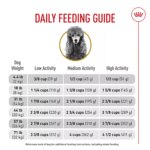 Royal Canin Adult Dry Dog Food - Poodle Breed Health Nutrition - Image 9