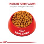 Royal Canin Adult Dry Dog Food - Shih Tzu Breed Health Nutrition - Image 2