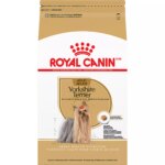 Royal Canin Adult Dry Dog Food - Yorkshire Terrier Breed Health Nutrition