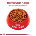Royal Canin Adult Dry Dog Food - Yorkshire Terrier Breed Health Nutrition - Image 2