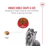 Royal Canin Adult Dry Dog Food - Yorkshire Terrier Breed Health Nutrition - Image 4
